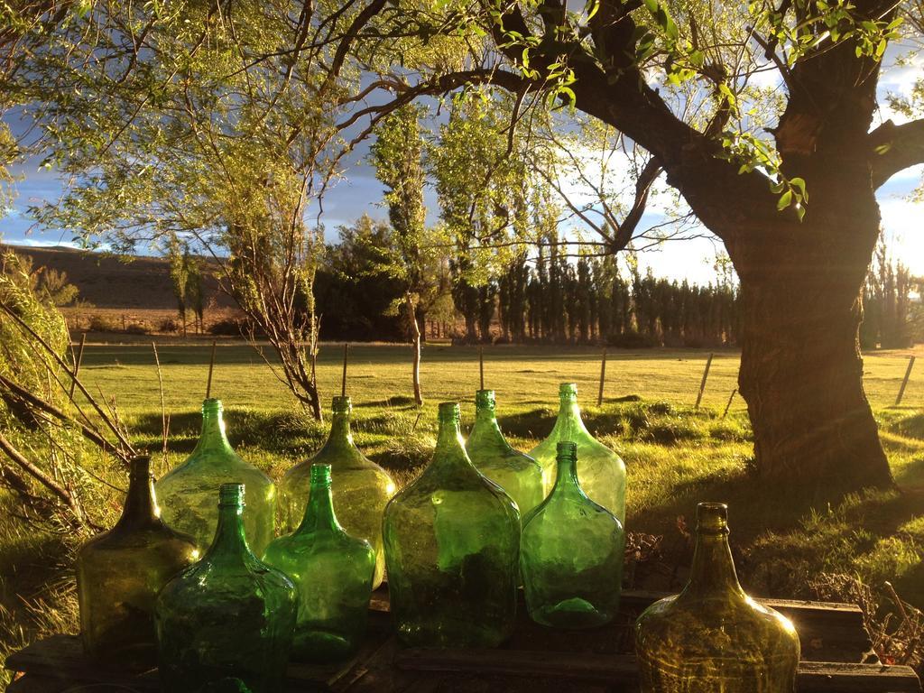 Estancia Santa Thelma Bed & Breakfast Casa Riera Luaran gambar